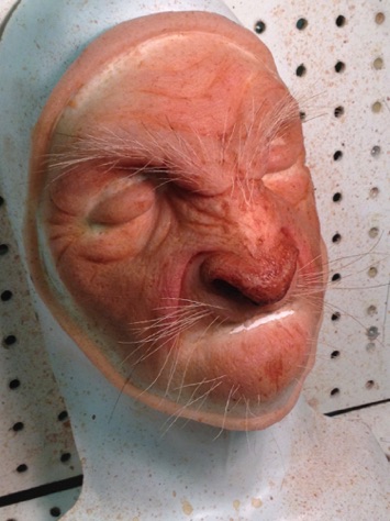 Grandma Wolf Silicone Prosthetic